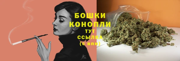 метадон Вяземский