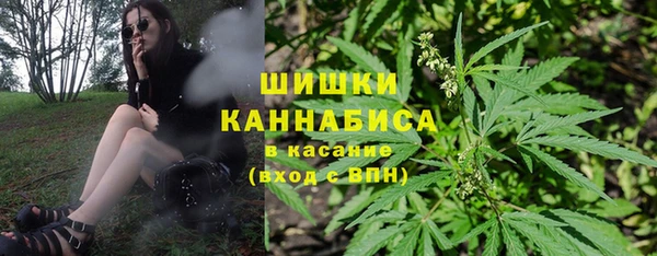 метадон Вяземский