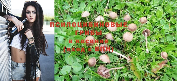 метадон Вяземский