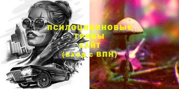 метадон Вяземский