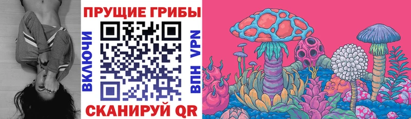 Псилоцибиновые грибы прущие грибы  сколько стоит  Нариманов 